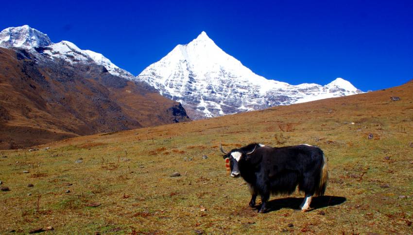 Bhutan Trekking