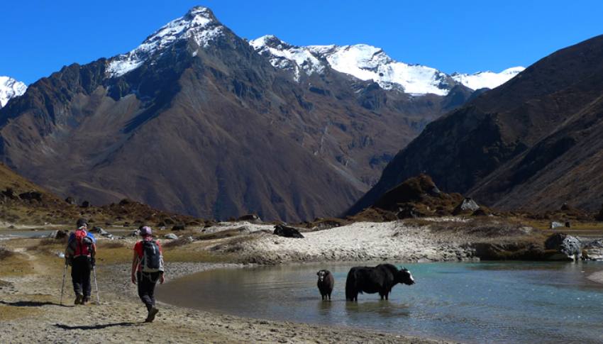 Laya Gasa Trek