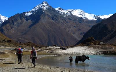 Laya Gasa Trek